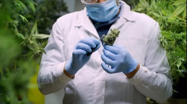 Laly Mora impulsa fundación para la producción de cannabis medicinal