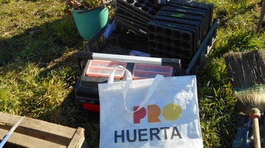 Trabajos para mejorar el vivero de la Escuela Pioneros Fueguinos