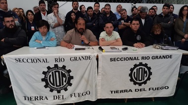 Desvinculaciones y suspensiones en Mirgor