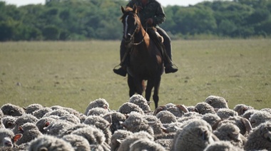Incrementan prestación por desempleo para trabajadores rurales