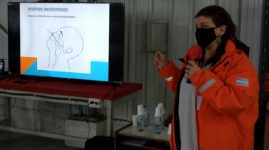 Campaña de prevención por COVID 19