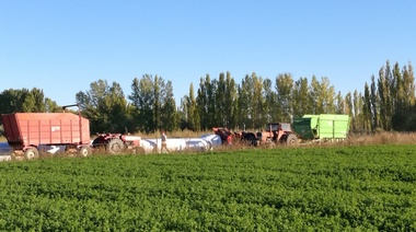 En el Valle de Chubut planifican la próxima cosecha