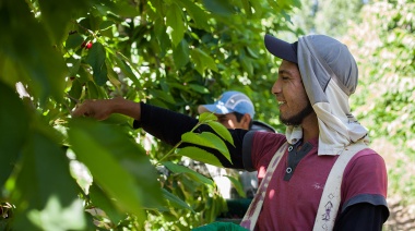 Trabajadores rurales cobrarán prestación por desempleo mediante transferencia bancaria