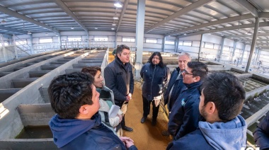 Trabajadores y trabajadoras de Obras Sanitarias por fin tienen gas en la planta