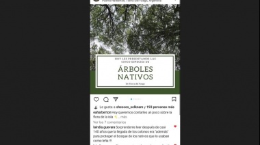 Posteo justificó avance sobre pueblos originarios porque quemaban leña