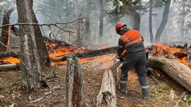 Indignación por la falta de avances en la investigación del incendio forestal