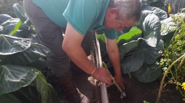 "Pancho" Barría, 22 años produciendo agroecología