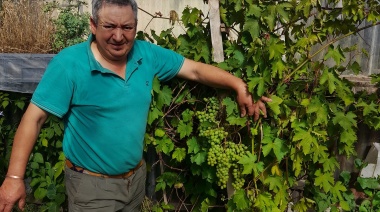 "Pancho" Barría, 22 años produciendo agroecología