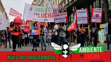 Ambiente en lucha ante las políticas neoliberales