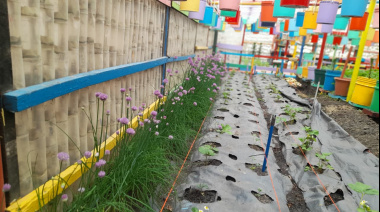 El "Pampa" Pueblas y 30 años de persistente lucha por el ambiente y la agroecología