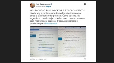 Más importación, menos trabajo, y Sturzenegger festeja