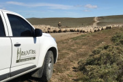 Anunciaron nuevos aumentos de la prestación por desempleo para trabajadores rurales