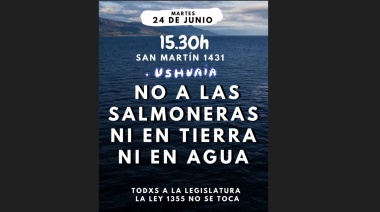 Sectores ambientalistas se oponen a las salmoneras “en mar y en tierra”