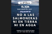 Sectores ambientalistas se oponen a las salmoneras “en mar y en tierra”