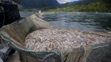 Este sábado será la charla sobre salmoneras en Río Grande