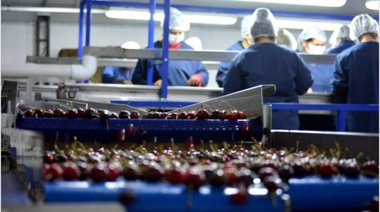 Productores de cerezas se refirieron a la baja de retenciones