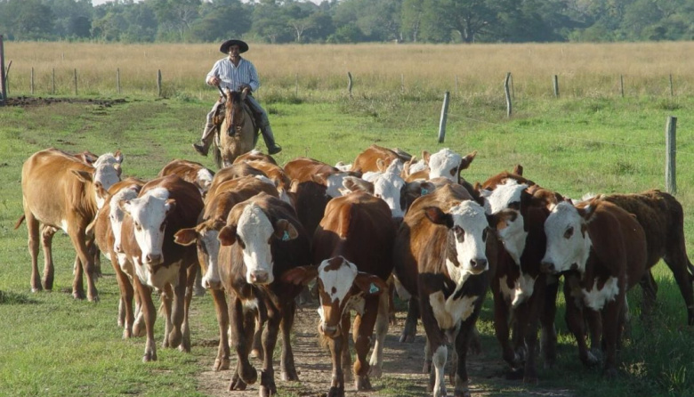 RENATRE saludó a los trabajadores y trabajadoras rurales en su día