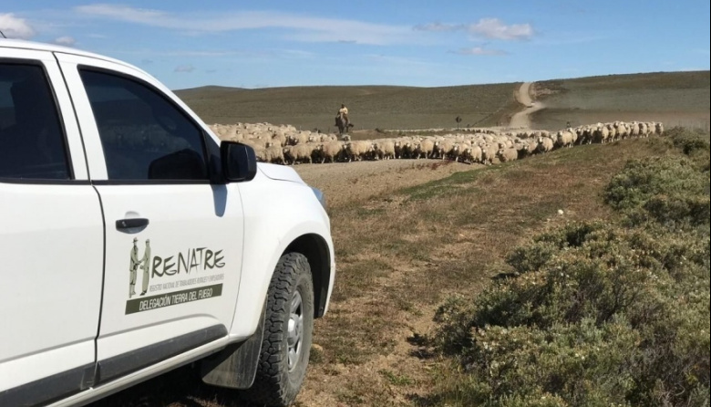 El RENATRE aumenta la prestación por desempleo a $346.500