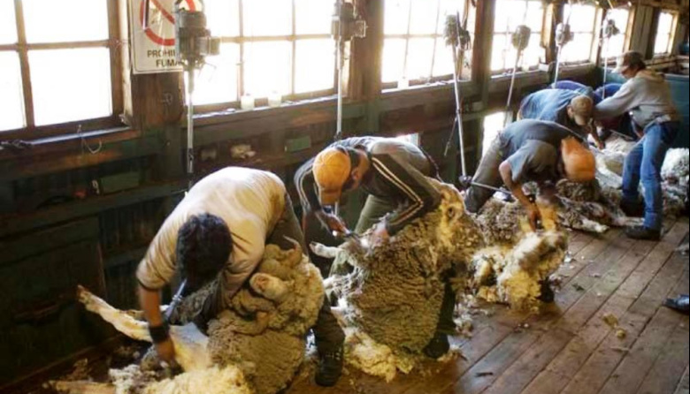 El RENATRE actualizó la Prestación por Desempleo y alcanza el monto máximo en $374.954