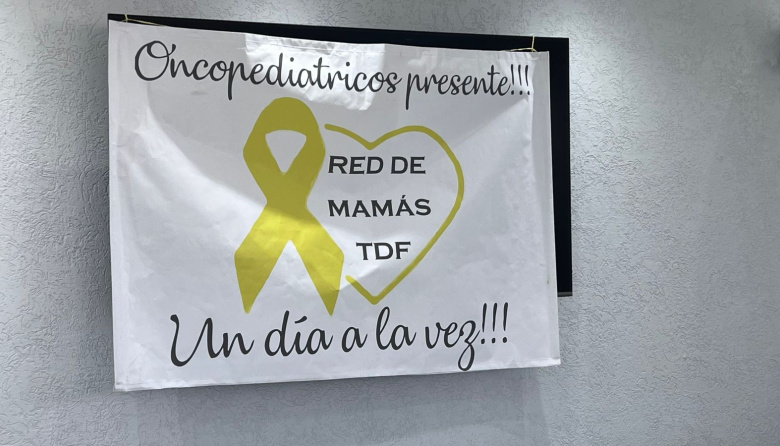 “Las leyes en Tierra del Fuego hoy son papeles mojados”