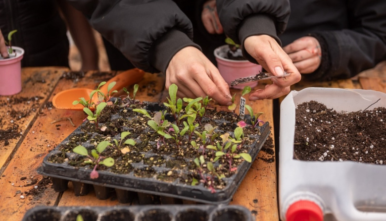 La Fundación Tercer Milenio celebra su aniversario con un taller gratuito de siembra y producción de plantines