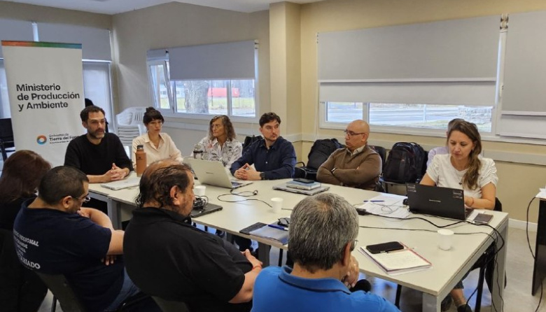 Nación avanza con medidas que afectan a la industria fueguina en la Comisión del Área Aduanera Especial