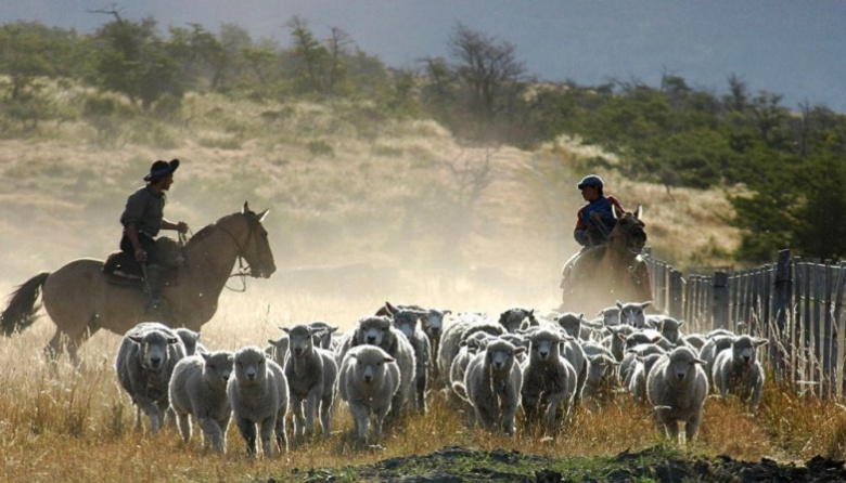 120.000 empleos rurales están en riesgo tras el vencimiento de una norma clave