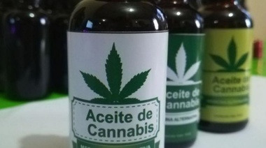 Impulsan proyecto de ley para cultivo y producción de cannabis medicinal