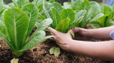 Sigue creciendo la autoproducción de alimentos en Río Grande