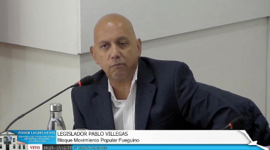 “Es una falacia decir que esta ley genera empleo o atrae inversiones”