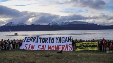 Greenpeace afirma que habilitar la salmonicultura implicaría un “Retroceso ambiental”