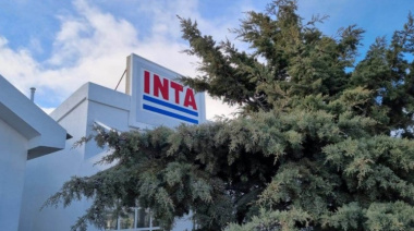 El Gobierno nacional planificó un plan de retiros voluntarios para deshacerse de un tercio de los empleados