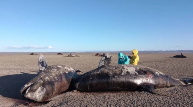 Denuncian el “desmantelamiento” de las áreas ambientales