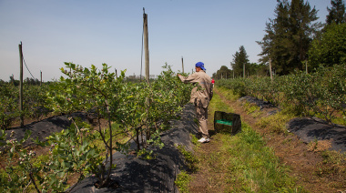 El RENATRE actualizó los montos de la Prestación por Desempleo