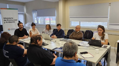 Nación avanza con medidas que afectan a la industria fueguina en la Comisión del Área Aduanera Especial