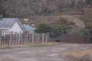 Lechman confirmó que iba armado por la ruta complementaria A