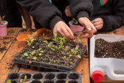 La Fundación Tercer Milenio celebra su aniversario con un taller gratuito de siembra y producción de plantines