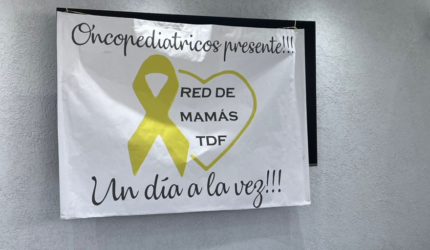 “Las leyes en Tierra del Fuego hoy son papeles mojados”